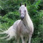 268722_234366939936746_100000903251521_685651_7672669_s