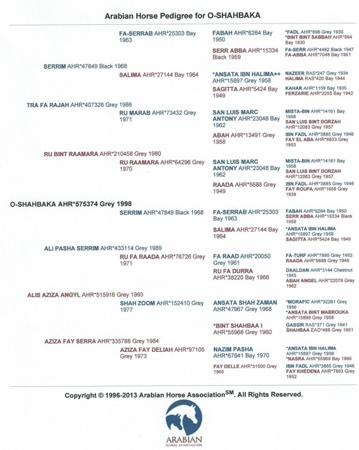 O-Shahbaka pedigree 001