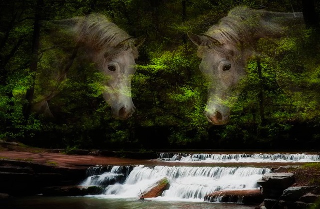 562973_528317380533664_1656586260_n