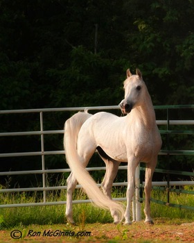 532875_10151635621850363_10150129592505363_24213397_1682288572_n